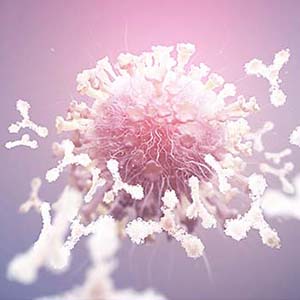 Die Antikörpertherapie am Zentrum für ambulante Onkologie baut auf körpereigenen Antikörpern auf, die als Teil der Immunabwehr Eiweißstoffe (Antigene) auf Krankheitserregern, Zellen und Fremdstoffen erkennen und diese bekämpfen.
