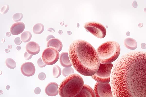 Die Transfusion von Blut und Blutbestandteilen unterstützt die Krebstherapie am Zentrum für ambulante Onkologie, Tübingen.